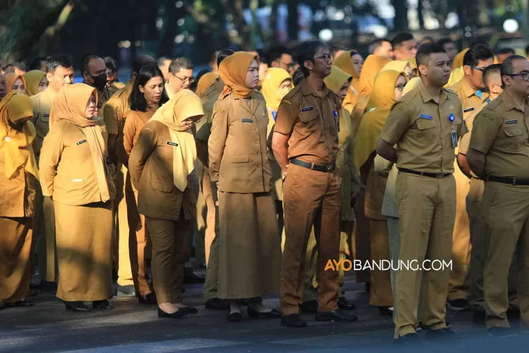 Pns Wajib Tahu Poin Penting Dari Bkn Sebelum Kenaikan Pangkat Kali Setahun Berlaku Ayo