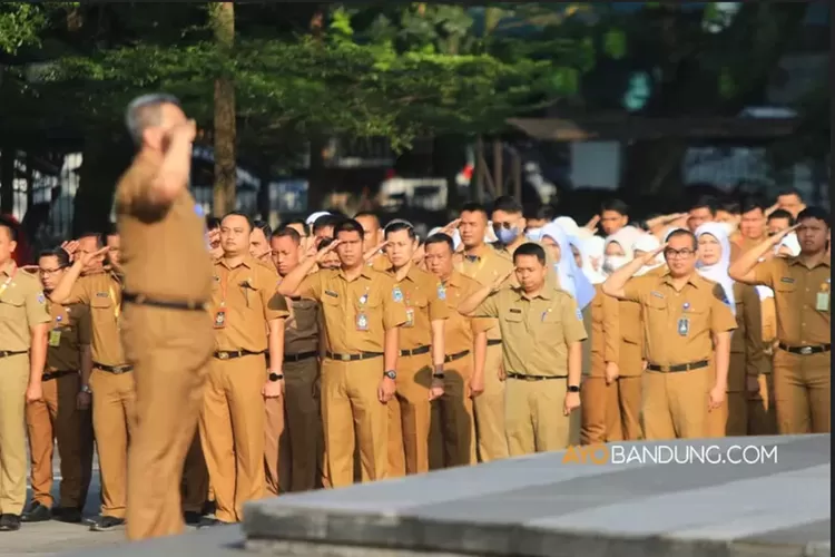 Progres PP ASN Terbaru, Begini Solusi Tenaga Honorer yang Tidak Lulus PPPK 2023