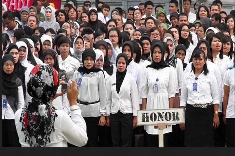 Pakar Kebijakan Publik Sebut Penyelesaian Tenaga Honorer Jadi Tugas Berat bagi Pemerintah, Begini Alasannya!