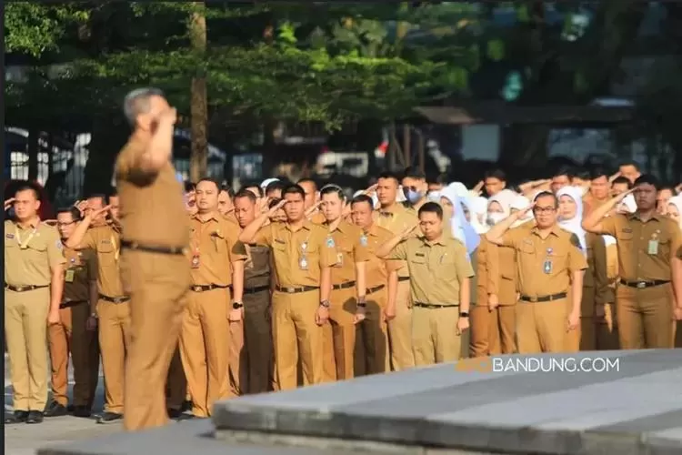 Resmi! Kenaikan Gaji PNS Akan Direalisasikan Tahun Depan, namun Tidak Berlaku untuk Kategori Usia Ini