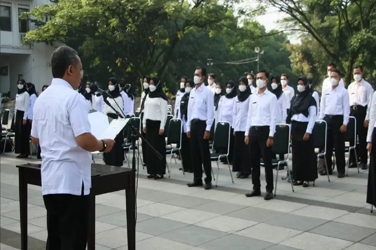 3 Cara Percepatan Pengangkatan Tenaga Honorer Menjadi ASN Telah Ditemukan, Syarat Ini jadi Kunci Keberhasilan