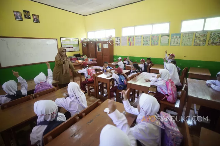 Catat! Pegawai Honorer Migrasi Jadi PPPK Lewat UU ASN tapi Ada Syarat yang Wajib Dipenuhi, Apa Saja?