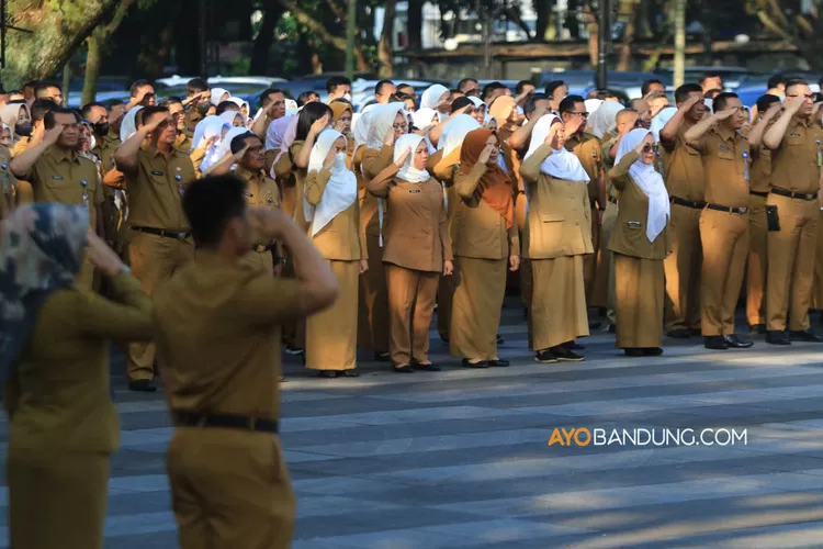 Nasib Honorer 2024 Belum Jelas, MenPAN RB Ungkap Tahapan Pengangkatan ...