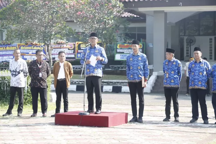 7 Honorer Dipastikan Lulus PPPK 2023 Tanpa Tunggu Pengumuman Final ...