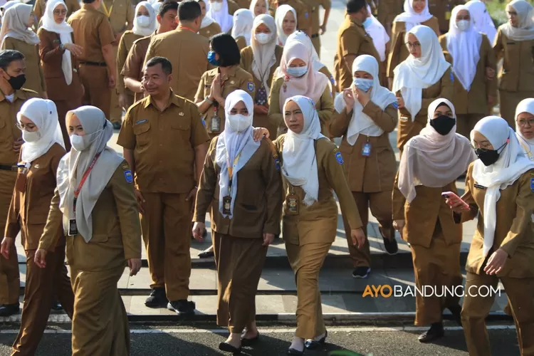 Bukan 65 Tahun Lagi, Simak Ini Batas Usia Pensiun PNS Sesuai dengan Aturan Terbaru yang Berlaku