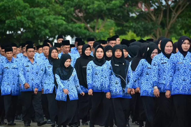 Ini Arti Sistem Grading pada UU ASN, PNS dan PPPK Golongan Rendah jangan Khawatir Gaji Kecil