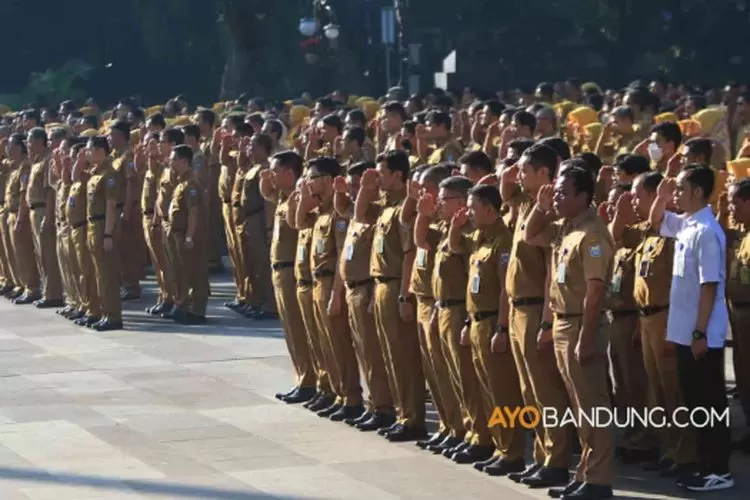 Pengangkatan Tenaga Honorer Baru Resmi Dilarang dalam UU ASN 2023, Tapi Dibolehkan Bagi yang Penuhi Syarat Ini