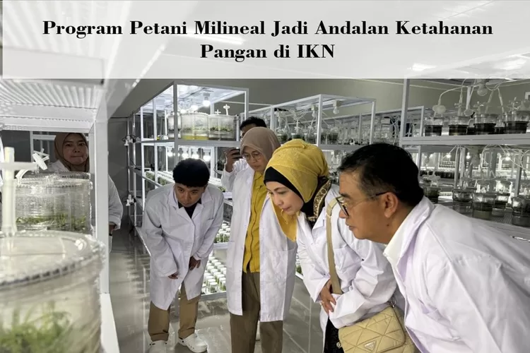 Mirip Program Ridwan Kamil di Jabar, Program Petani Milenial Jadi Andalan Ketahanan Pangan di IKN