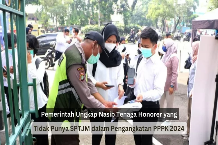 Pemerintah Ungkap Nasib Tenaga Honorer yang Tidak Punya SPTJM dalam Pengangkatan PPPK 2024