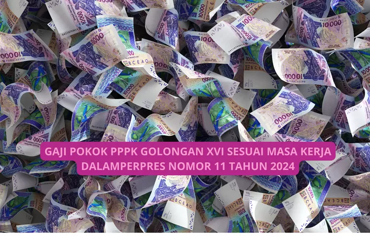 Jadi Bagian ASN! Segini Gaji PPPK Golongan XVI Sesuai Masa Kerja dalam Perpres Nomor 11 Tahun 2024