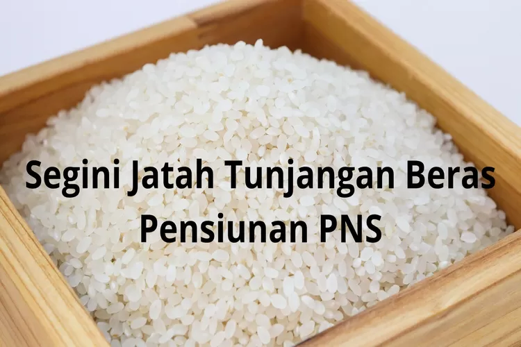 Tunjangan Beras Pensiunan PNS 2024 Terbaru Dapat Segini, Jangan Kaget Ya!