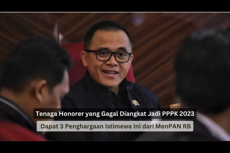 Tenaga Honorer yang Gagal Diangkat Jadi PPPK 2023 Dapat 3 Penghargaan Istimewa Ini dari MenPAN RB