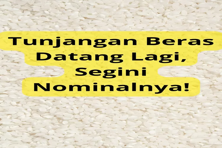 Pensiunan PNS Bakal Dapat Tunjangan Apa Saja? Ada Tunjangan Beras Segini Nominalnya!