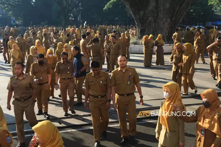 Banyak Honorer yang Masih Tercecer, BKN Umumkan Hal Mengejutkan Jelang Pengangkatan PPPK 2024, Begini Isinya