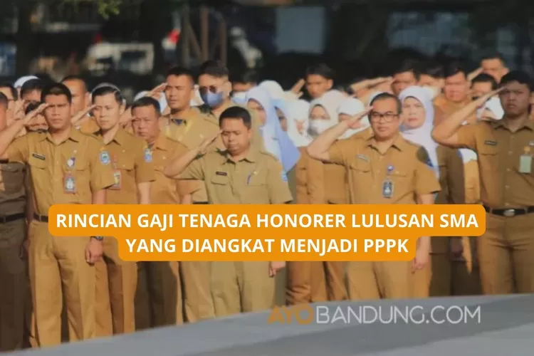 Honorer Lulusan SMA Berpeluang Diangkat Jadi PPPK, Ini GAJI yang Akan Diperoleh