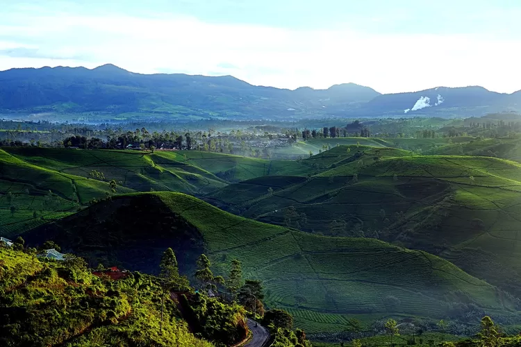 Jawa Barat Disebut Butuh 9 Kabupaten Baru, Wilayah Mana Saja yang Disetujui Pemerintah?