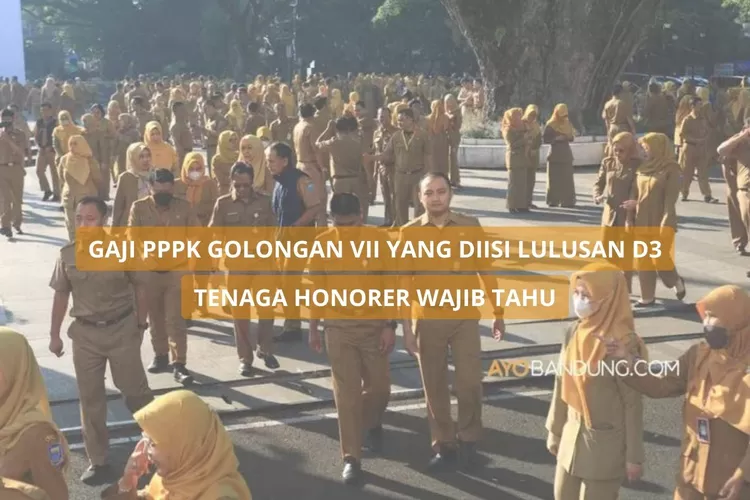 Tenaga Honorer Merapat! Segini GAJI PPPK Golongan VII yang Diisi Lulusan D3, Paling Besar Capai Rp…