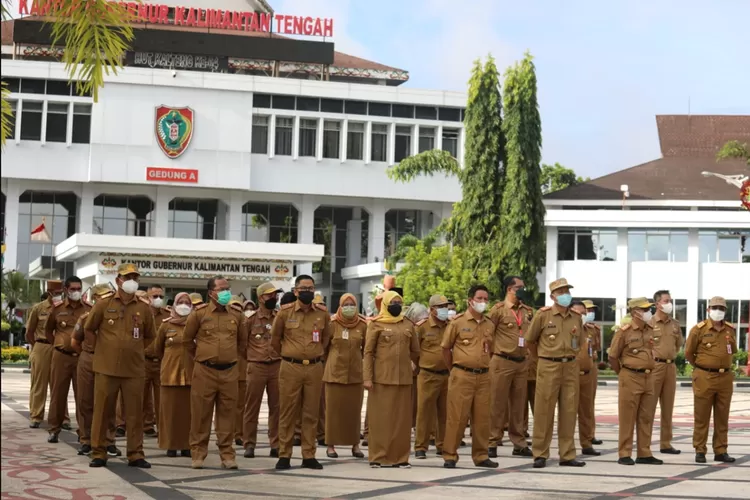 3.000 Tenaga Honorer Tidak Kebagian Formasi pada Rekrutmen PPPK 2024, Inilah Solusi Terbaik bagi yang Belum Terdata BKN!