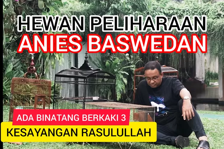 4 Hewan Peliharaan Anies Baswedan, Ada Binatang Berkaki 3 Kesayangan Rasulullah, Apa Itu?