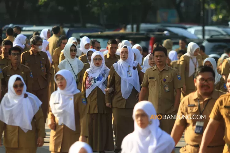 Formasi CPNS 2024 untuk Lulusan SMA Apa Saja? Klik Link Pendaftaran Lewat SSCASN di Sini