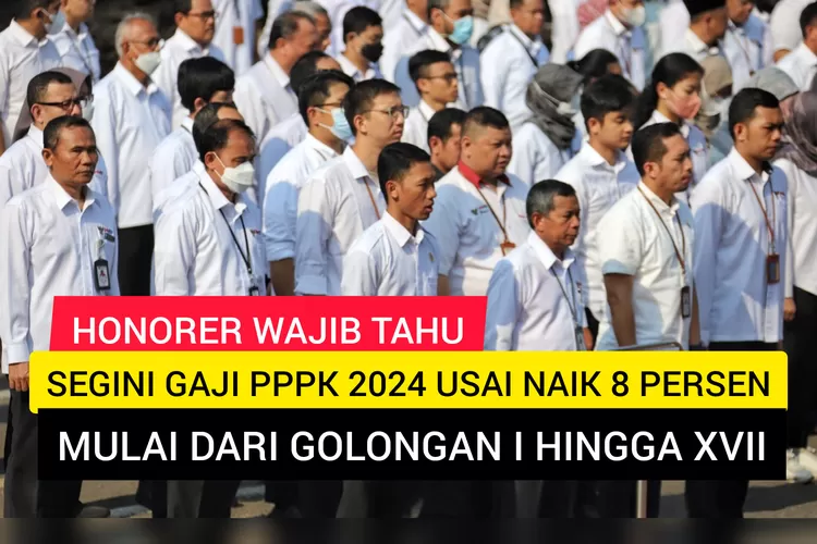 HONORER WAJIB TAHU! Segini Gaji PPPK 2024 Usai Naik 8 Persen, Gak Bakal Kasbon Lagi di Akhir Bulan