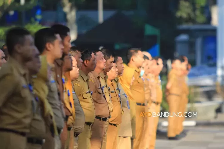 Biar Tidak Salah Paham! Ini Kabar Terbaru dari UU ASN 2023 yang Wajib Kamu Tahu, Pasca di Tandatangani oleh Jokowi