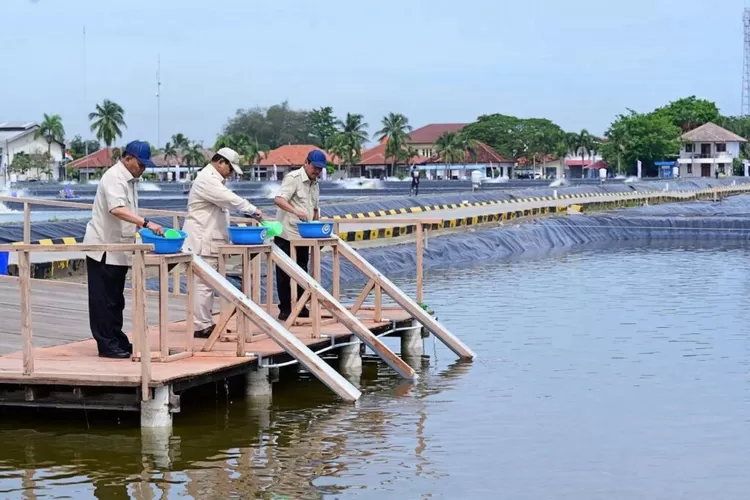 Presiden Prabowo Tebar Benih Ikan Nila Salin Di Karawang Sokong Protein ...