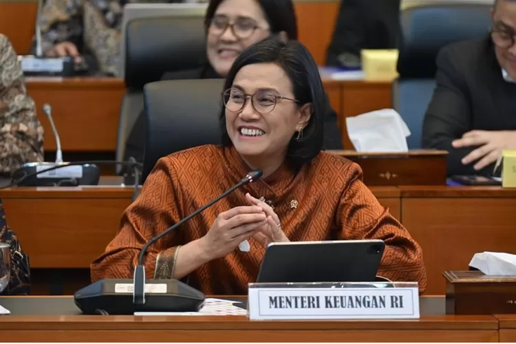 Berikut rincian harta kekayaan Sri Mulyani dari tahun ke tahun yang mengalami kenaikan miliaran rupiah. ( Instagram @smindrawati)