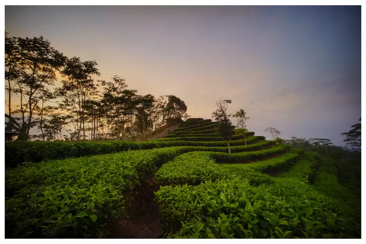 Tempat Wisata Alam Terindah Di Kulon Progo Untuk Liburan Akhir Tahun