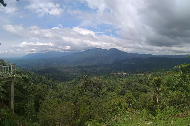 Menikmati Suasana Sejuk Dan Pemandangan Kabut Di Objek Wisata Pendakian ...