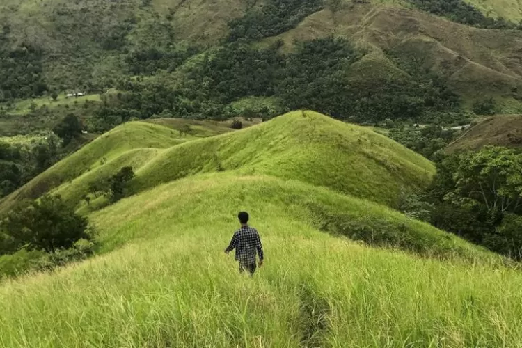 Melihat Sekeping Surga di Bukit Siron, Objek Wisata Pendakian Aceh Besar  dengan Padang Savana yang Asri - Teras info