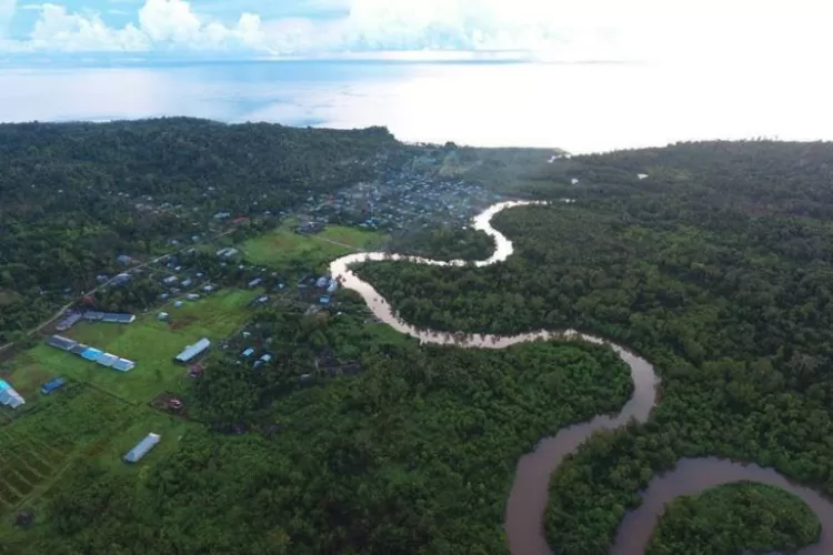 Dihuni Oleh Suku Mentawai Inilah Daya Tarik Taman Nasional Siberut