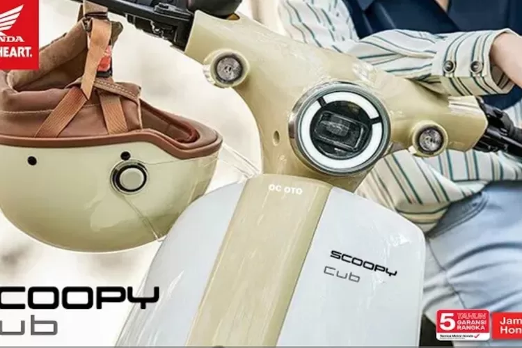 New Honda Scoopy Cub (youtube)