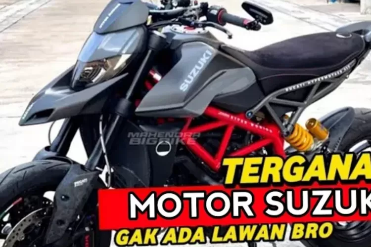 Suzuki V-Strom SX  (Youtube)