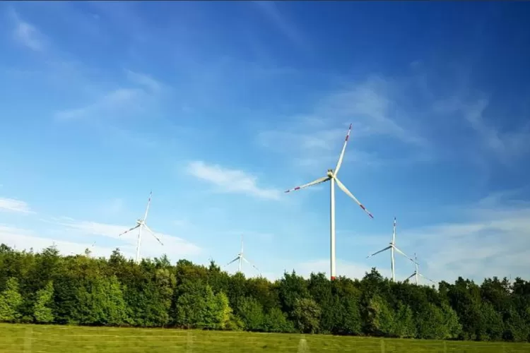 Ilustrasi energi terbarukan yang berasal dari sumber daya alam. (Unsplash.com / Camila Fernandez Leon)