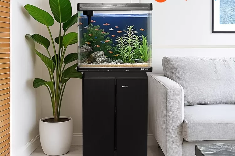 Ornamen akuarium yang bisa bikin ikan betah