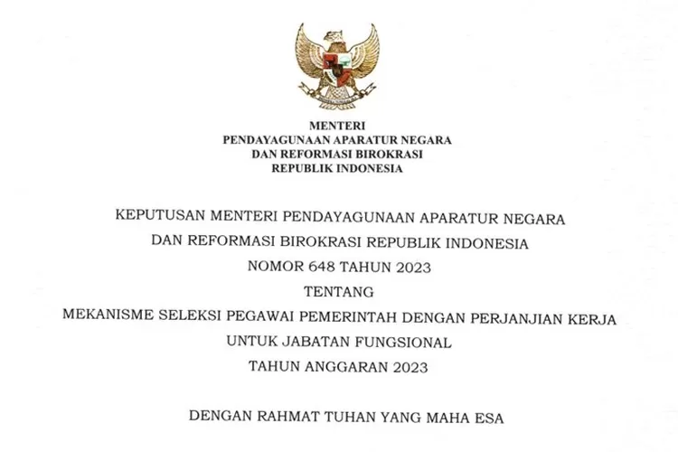 Kepmen PAN RB No 648 Tahun 2023, Berisi Mekanisme Seleksi PPPK Untuk Jabatan Fungsional Tahun 2023 (bkn.go.id)