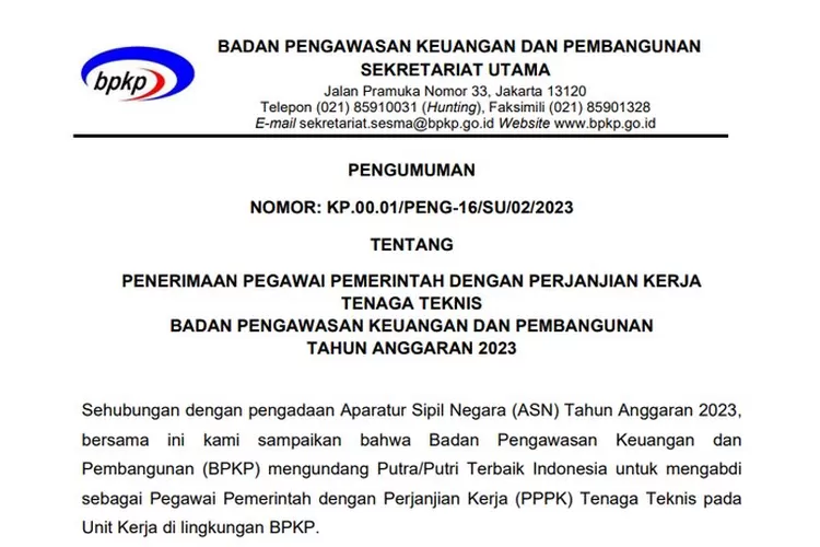 Rekrutmen PPPK 2023 di BPKP Penempatan Provinsi Lampung, Ini Formasi dan Persyaratannya (Tangkapan layar laman BPKP.go.id)