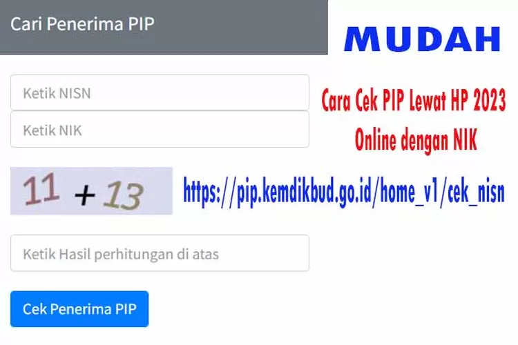 Tanpa Ribet Ini Cara Cek Pip Lewat Hp 2023 Online Dengan Nik Metro Aspirasiku 7754