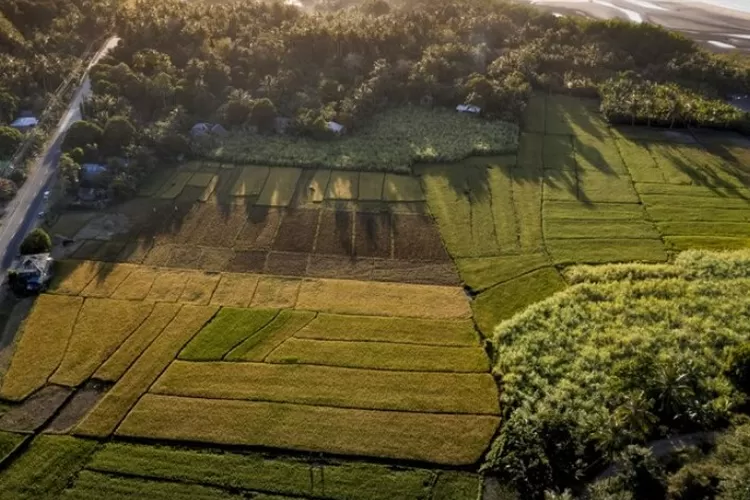 Apa Itu Reforma Agraria Bukan Hanya Soal Sertifikat Tanah Termasuk