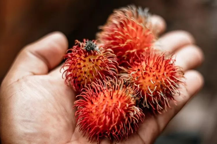 Buah Rambutan (Unsplash.com @ Kaw&ecirc; Rodrigues)