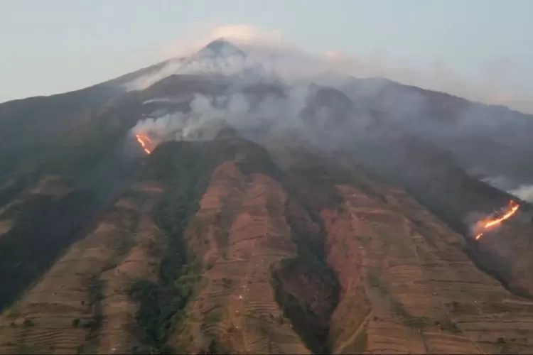 Kebakaran Hutan Lereng Gunung Merbabu Meluas Sampai Puncak, 91 Warga ...