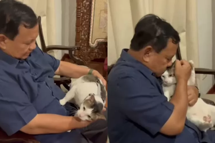 Kocak! Gini Nasib Bobby Si Kucing Jika Prabowo Subianto Menang dan Tinggal  di Istana: Insyaallah Kalau Dia.. - Kilat