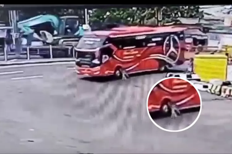 Detik-Detik Bocah 5 Tahun Tewas Terlindas Bus Saat Berburu Telolet Di ...