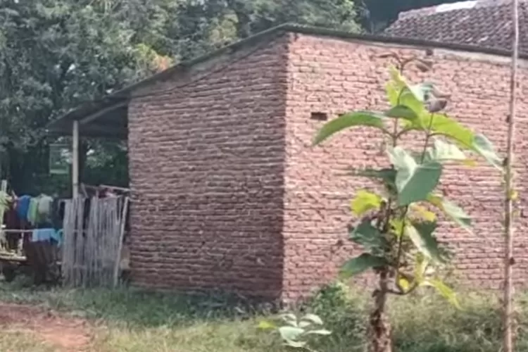 Ilustrasi Potret&nbsp;Markas Persembunyian Pegi alias Perong Tersangka Utama Vina Cirebon. (Foto/YouTube TV One.)