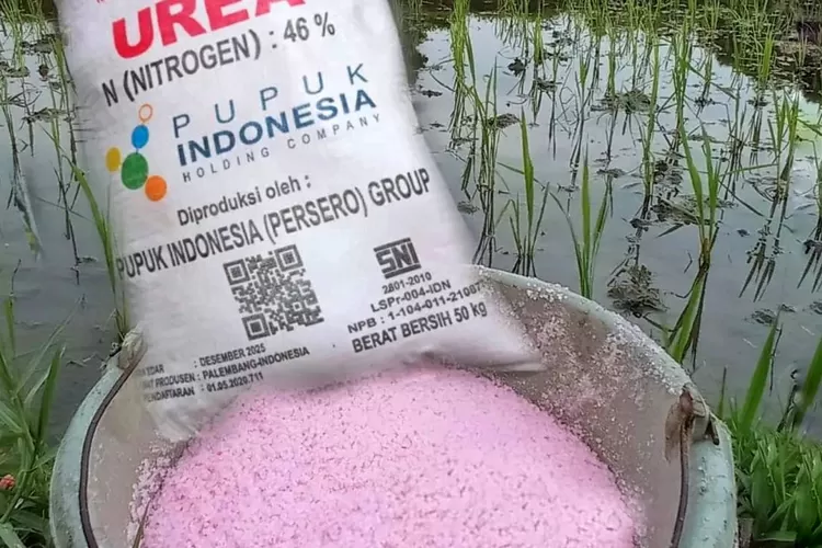 Harga Terkini Pupuk Non Subsidi Urea Dan Npk Minggu Terakhir Januari Selingkar Wilis