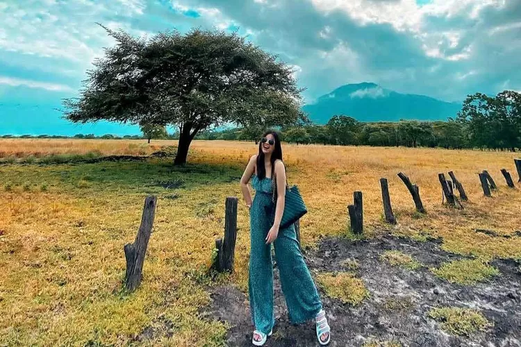 Kawasan Taman Nasional Baluran di Jawa Timur. (Fot/@wisatajatim.id)