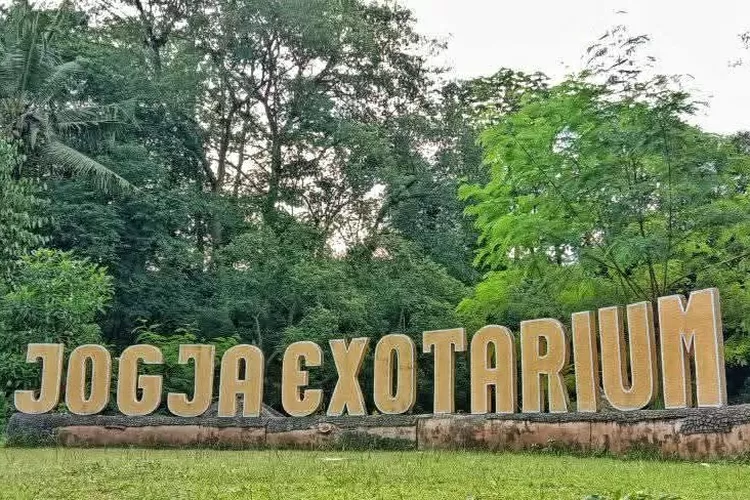 Wisata keluarga dan edukasi Mini Zoo Jogja Exotarium di Yogyakarta. (Foto/Exotarium di Yogyakarta)