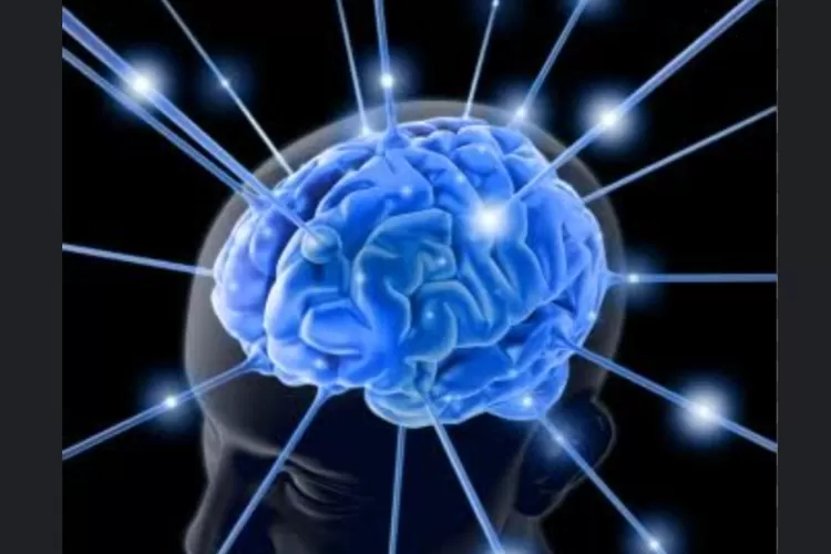 Ilustrasi Kecerdasan Otak (Ist)