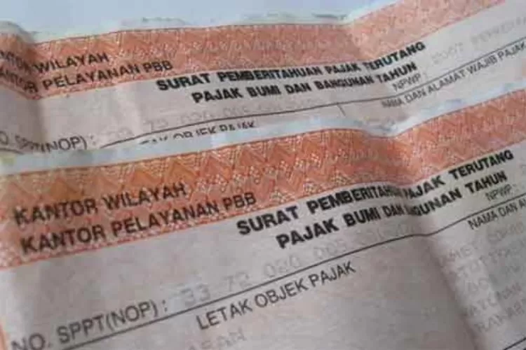 Ilustrasi syarat nik untuk bebas pajak PBB 2025 (Pinterest/finansialku)